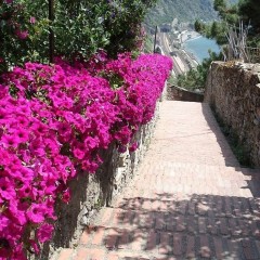 Corniglia