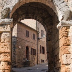 Volterra