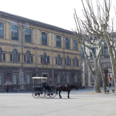 Lucca