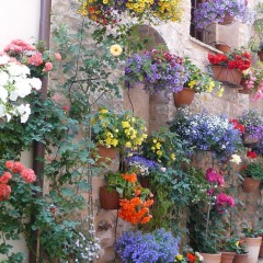 Quattro Stagioni