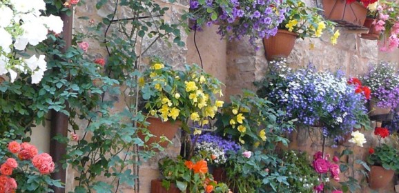 Quattro Stagioni