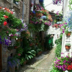 Montefalco