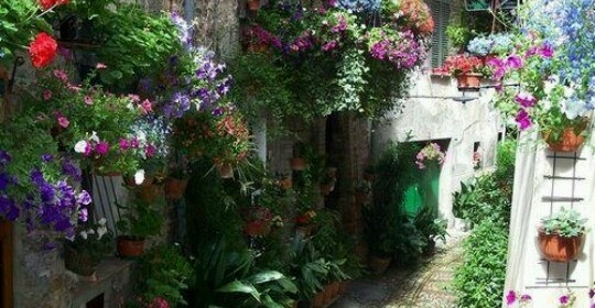 Montefalco