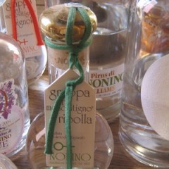 Grappa