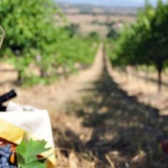 Sagrantino – Montefalco