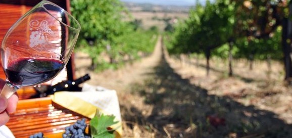 Sagrantino – Montefalco