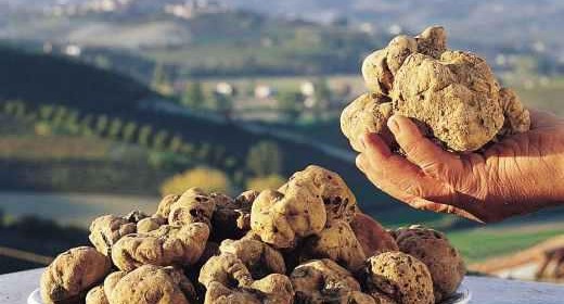 Tartufo, truffel