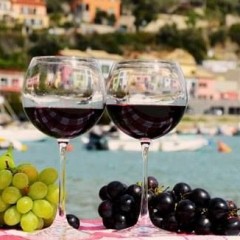 Vino Italia