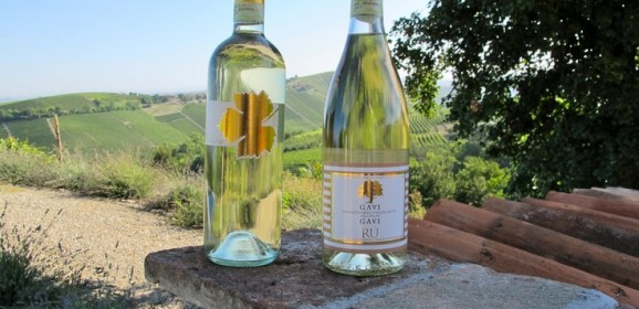 Cortese di Gavi