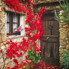 Greve in Chianti