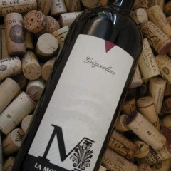 Grignolino