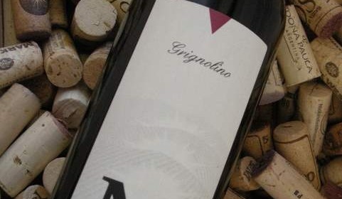 Grignolino