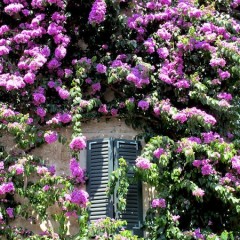 Sirmione