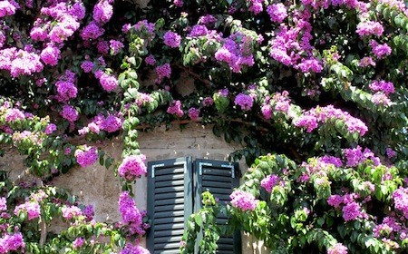 Sirmione