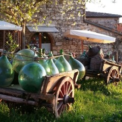 Sangiovese
