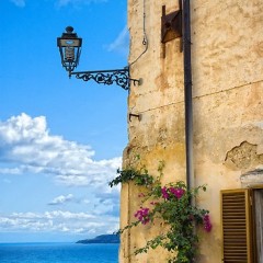 Tropea