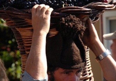 Esperto di vini , Huub Stiphout