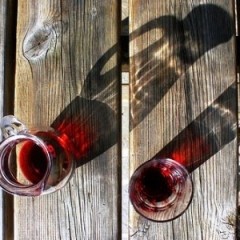 Un pasto senza vino è come un giorno senza sole.