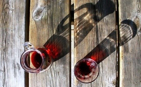Un pasto senza vino è come un giorno senza sole.