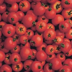 Napoli e il cibo