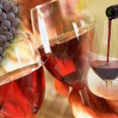Cannonau di Sardegna