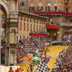 Siena; Il Palio