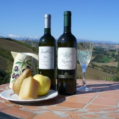 Pecorino Vino
