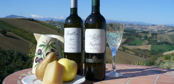 Pecorino Vino