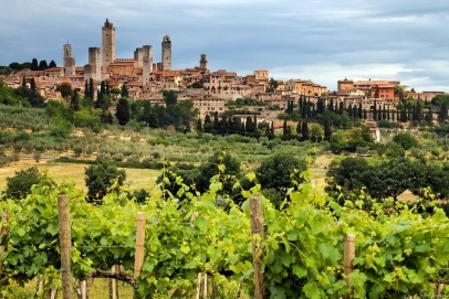 Vernaccia di San Gimignano