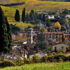 Carmignano in Greve