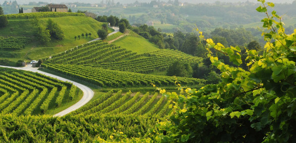 Prosecco, dé mousserende wijn van Italië.