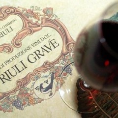 Refosco vino