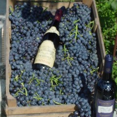 Valpolicella Ripasso