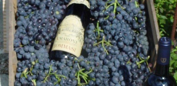 Valpolicella Ripasso