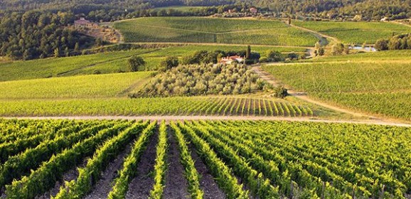 Rufina Chianti