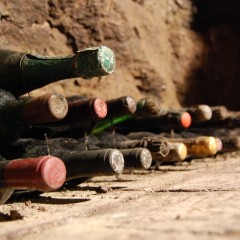Basilicata vino