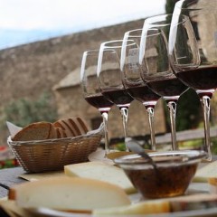 Brunello di Montalcino