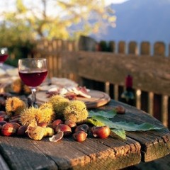 Vino Novello