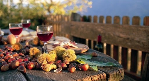 Vino Novello