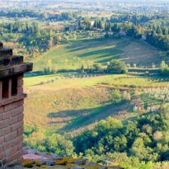 Chianti Colli Senesi