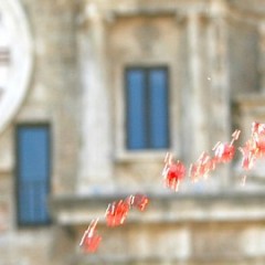 Vino di Visciole