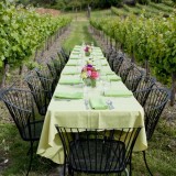 Riesling uit Barolo