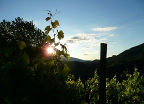 Estrosa….daar is de zon!