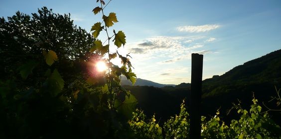Estrosa….daar is de zon!